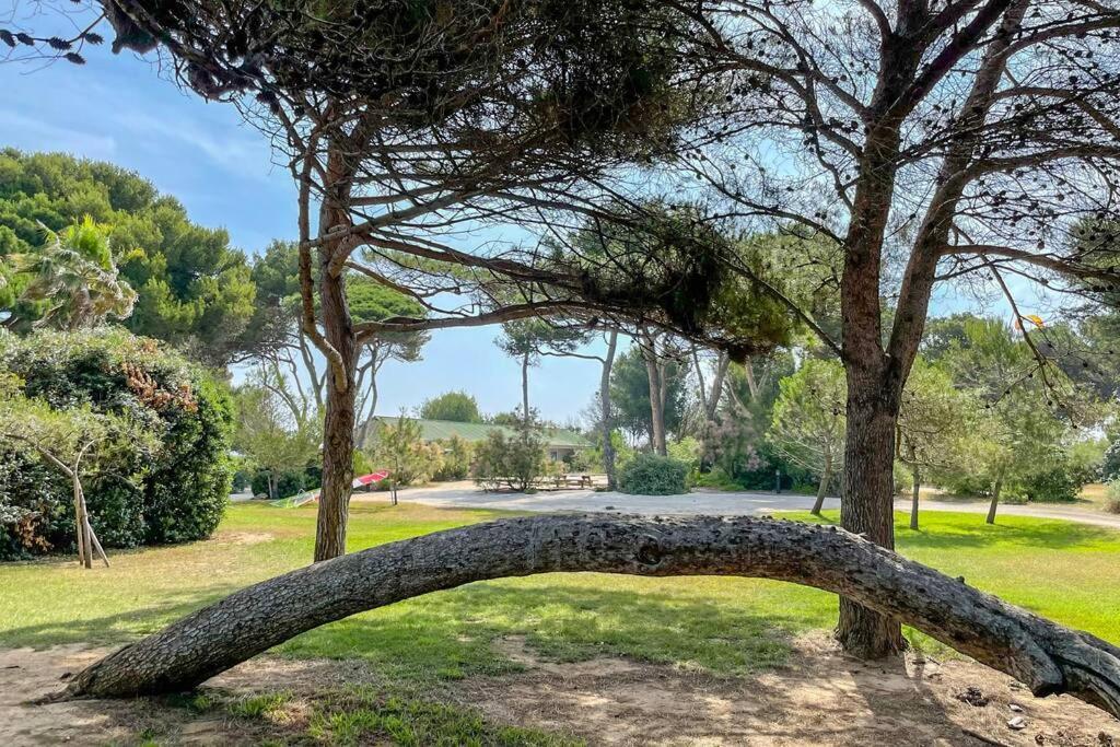 En Privee, Face A La Avec Acces Direct Hyères